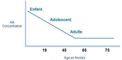 Schéma de la diminution de l'acide hyaluronique dans le derme avec l'âge